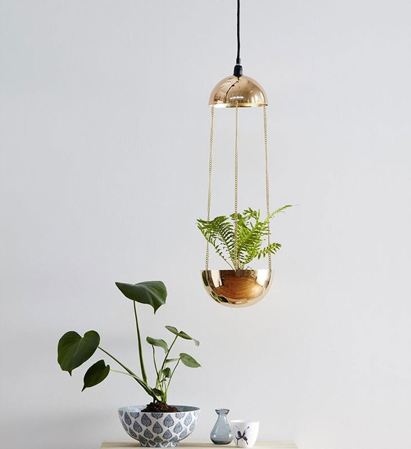 Feature Light with Plant