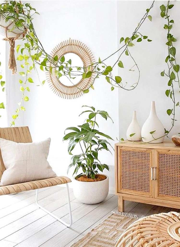 Living room with plants and wooden furniture