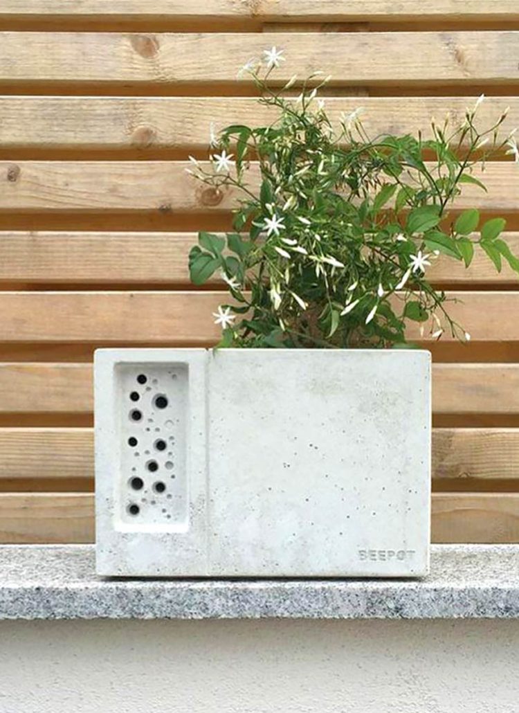 Beepot Planter with Wooden Background